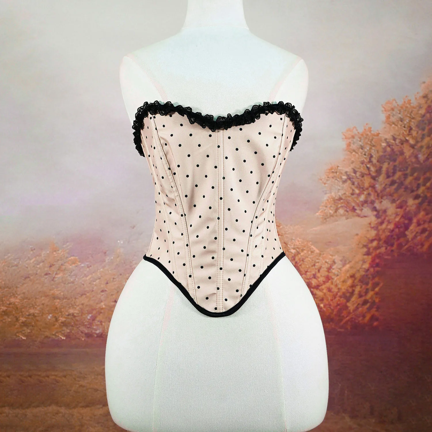 

French Retro Polka Dot Lace Trim Corset Women's Vintage Underwear Corset Sexy Bodysuit