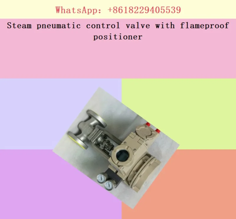 Steam pneumatic control valve with flameproof positioner