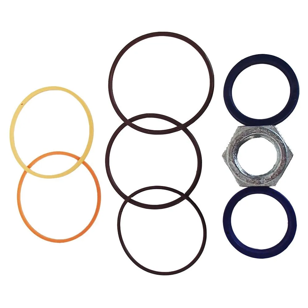 

XOJOX 7137939 Skid Steer Loader Lift Seal Kit For Bobcat A300 S250 S300