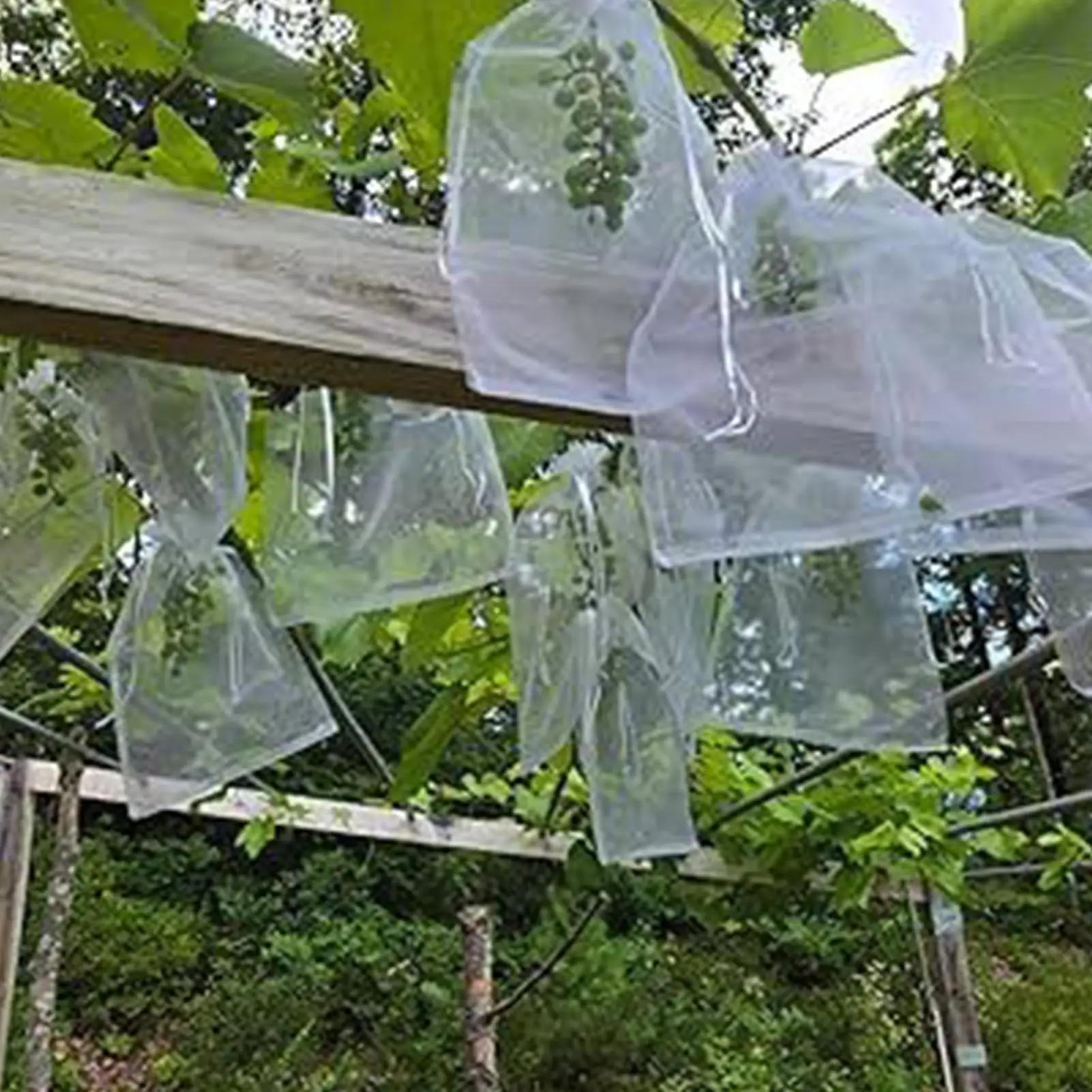 Fruit Protection Bags 100 Pieces Drawstring Protectors Netting Barrier Fruit Trees Netting Bags For Grapes Tomato Strawberry