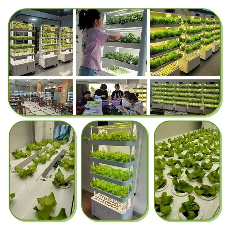 Multi‑Layer Mobile Smart Hydroponic Grow Cabinet LED Full‑Spectrum Indoor Soilless Cultivation Apparatus Home Vegetable& Fruit
