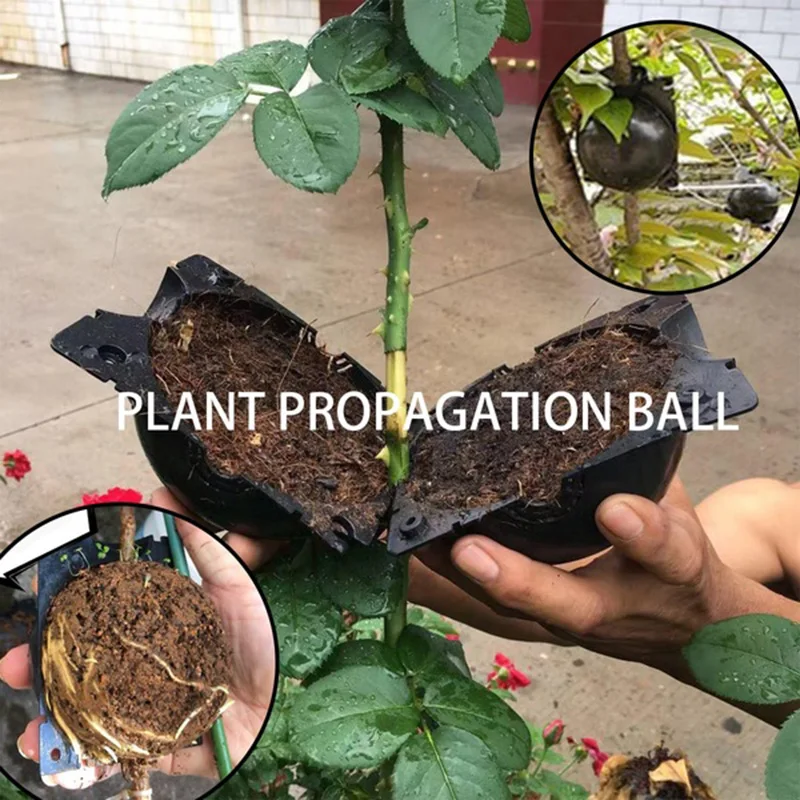 1PC Plant Rooting Device High Pressure Propagation Ball High Pressure Box Grafting Breed PGarden Lant Root Growing