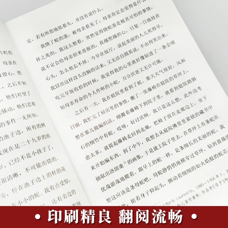 The Setting Sun: Japanese Literary Masterpiece of Post-War Society & Decay!