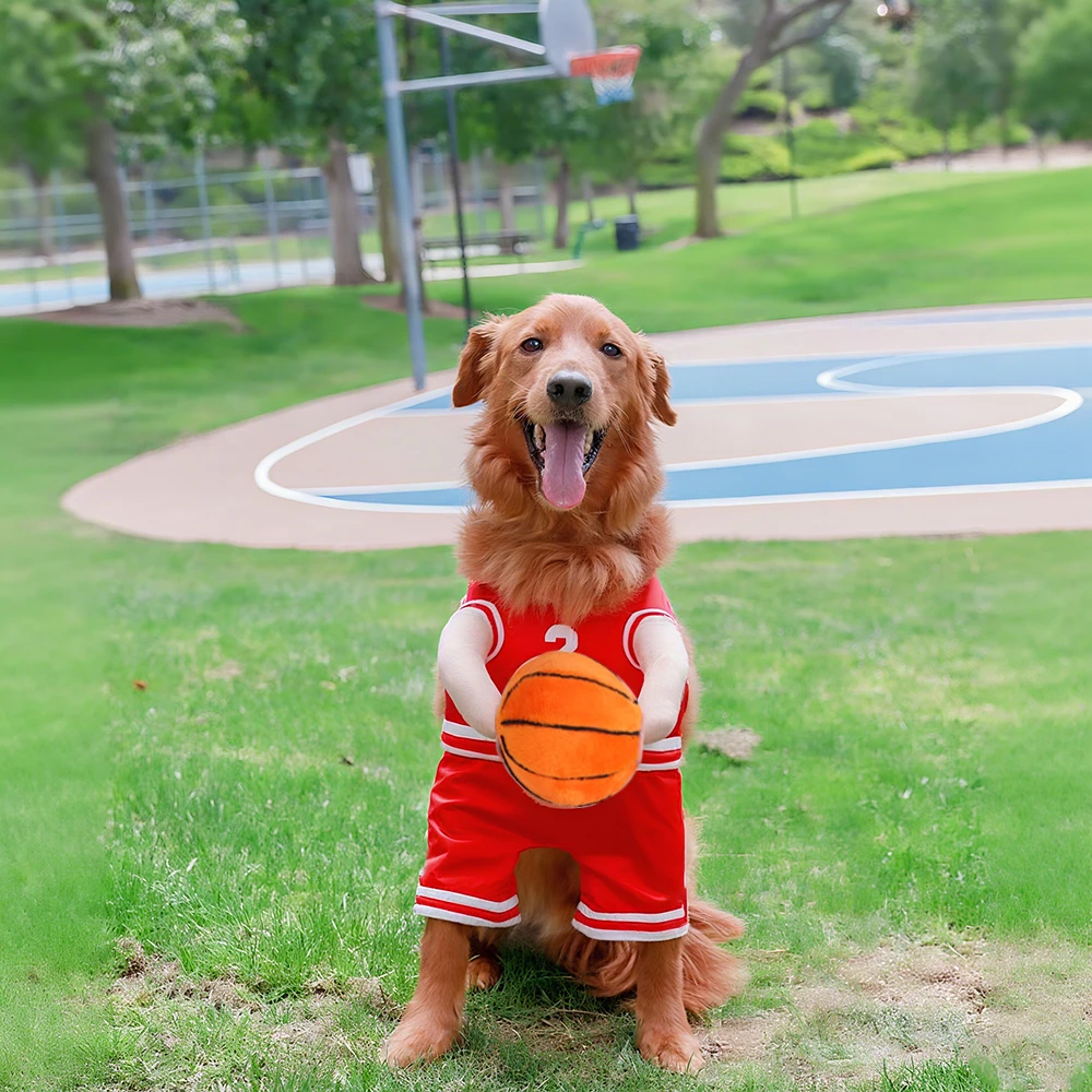 Basketballer
