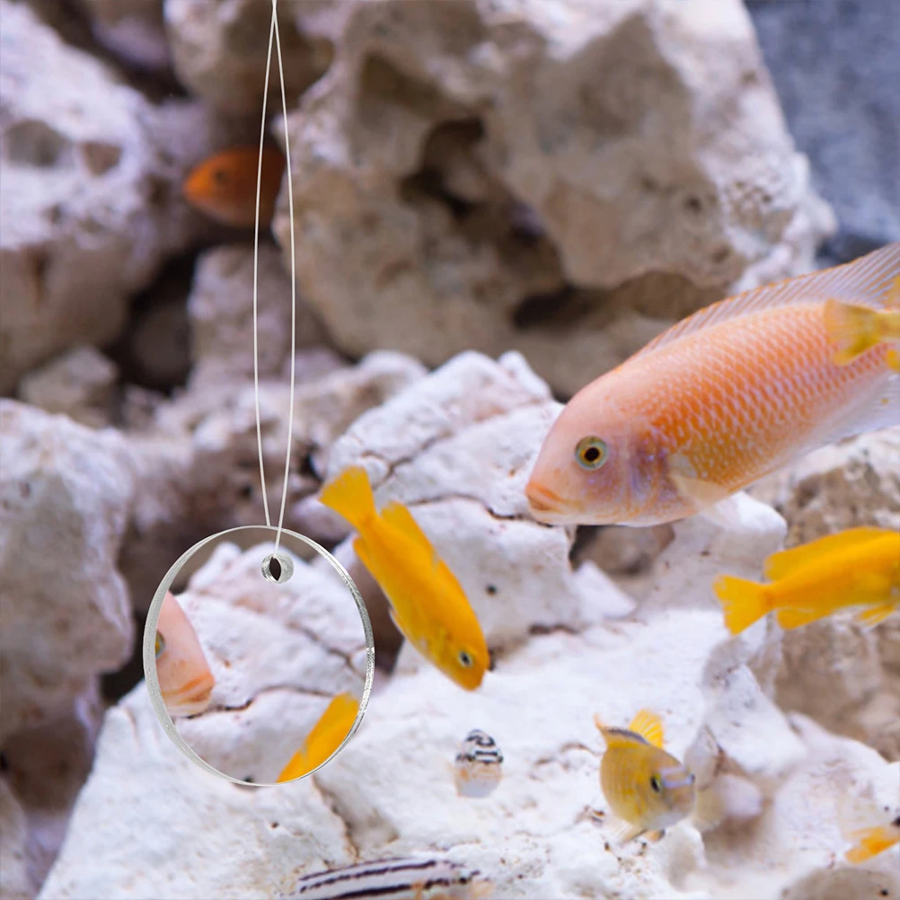 

2 Sets Fish Fish With Suction Cup Acrylic Training Compact Training Tool Decorative Mirror For Betta Tank Decoration Suction