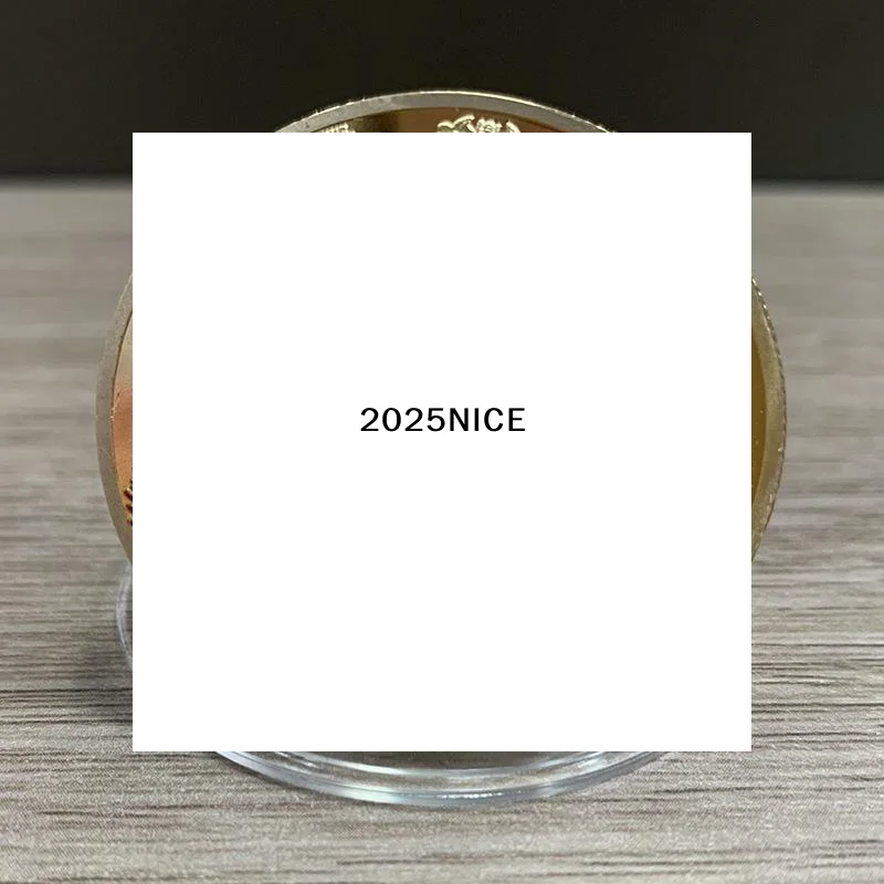 Decorazione della moneta 2026 Medaglia commemorativa colorata cavallo zodiacale Anno del cavallo Compleanno Piccolo regalo Artigianato in metallo