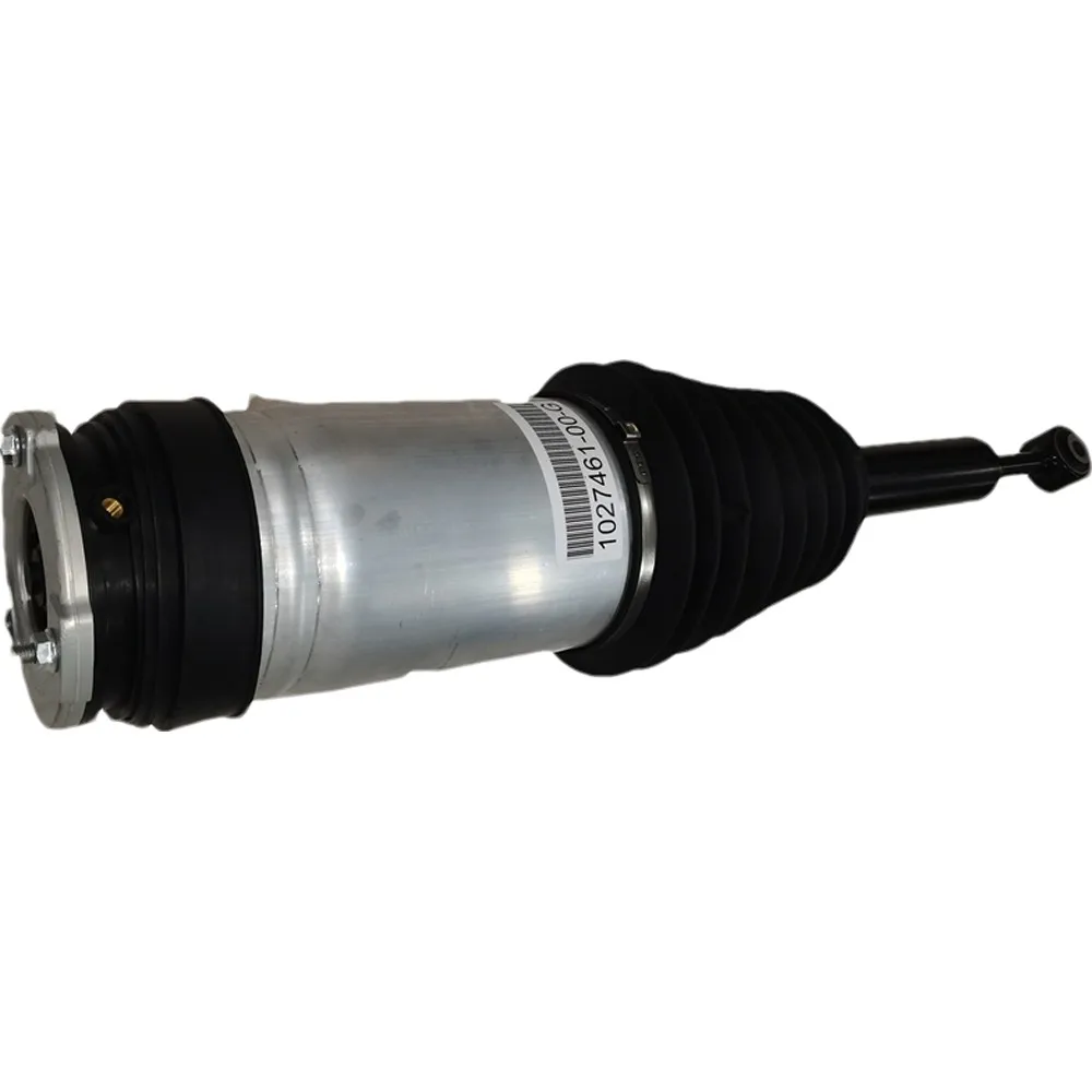 Strut Air Bags Susp… - image