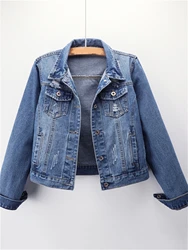 Denim jacket, long sleeve jacket, baggy, torn jacket, large size denim