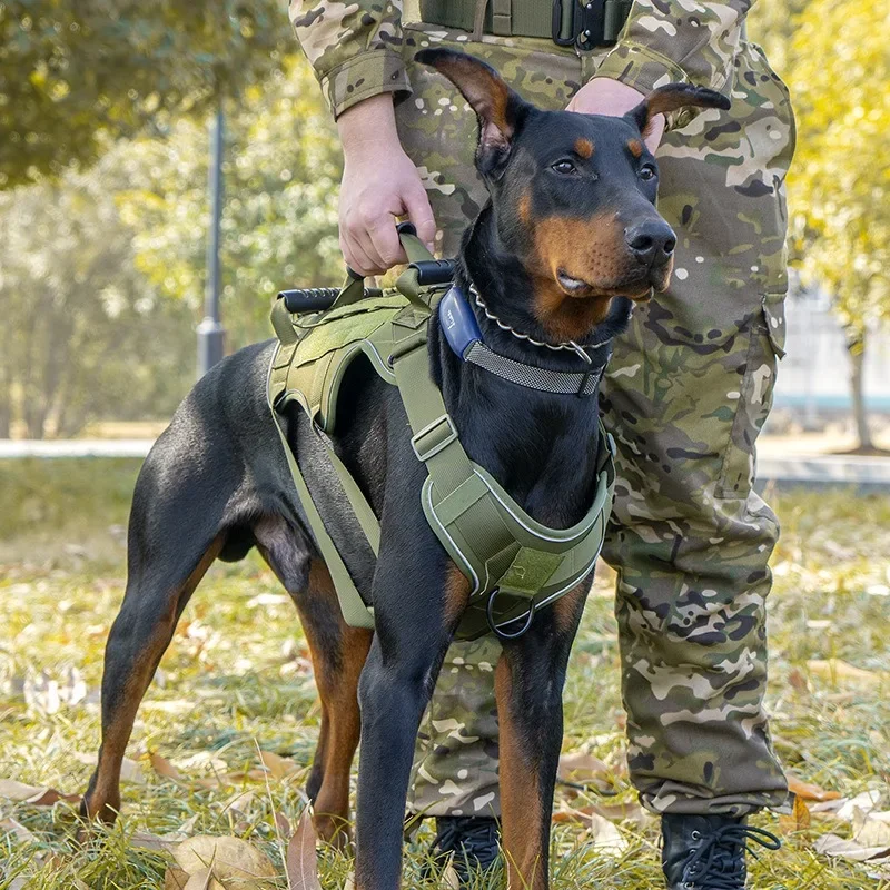 Tactical Training Dog Suit Vest Nylon 1000D Explosion-Proof Chest Strap Set, Elastic Nylon Collar