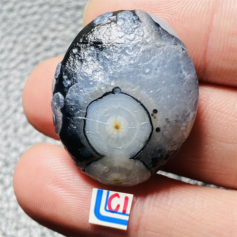 

natural black agate Alxa Gobi unpolished rock specimen energy crystal chakra reiki healing stone garden decoration