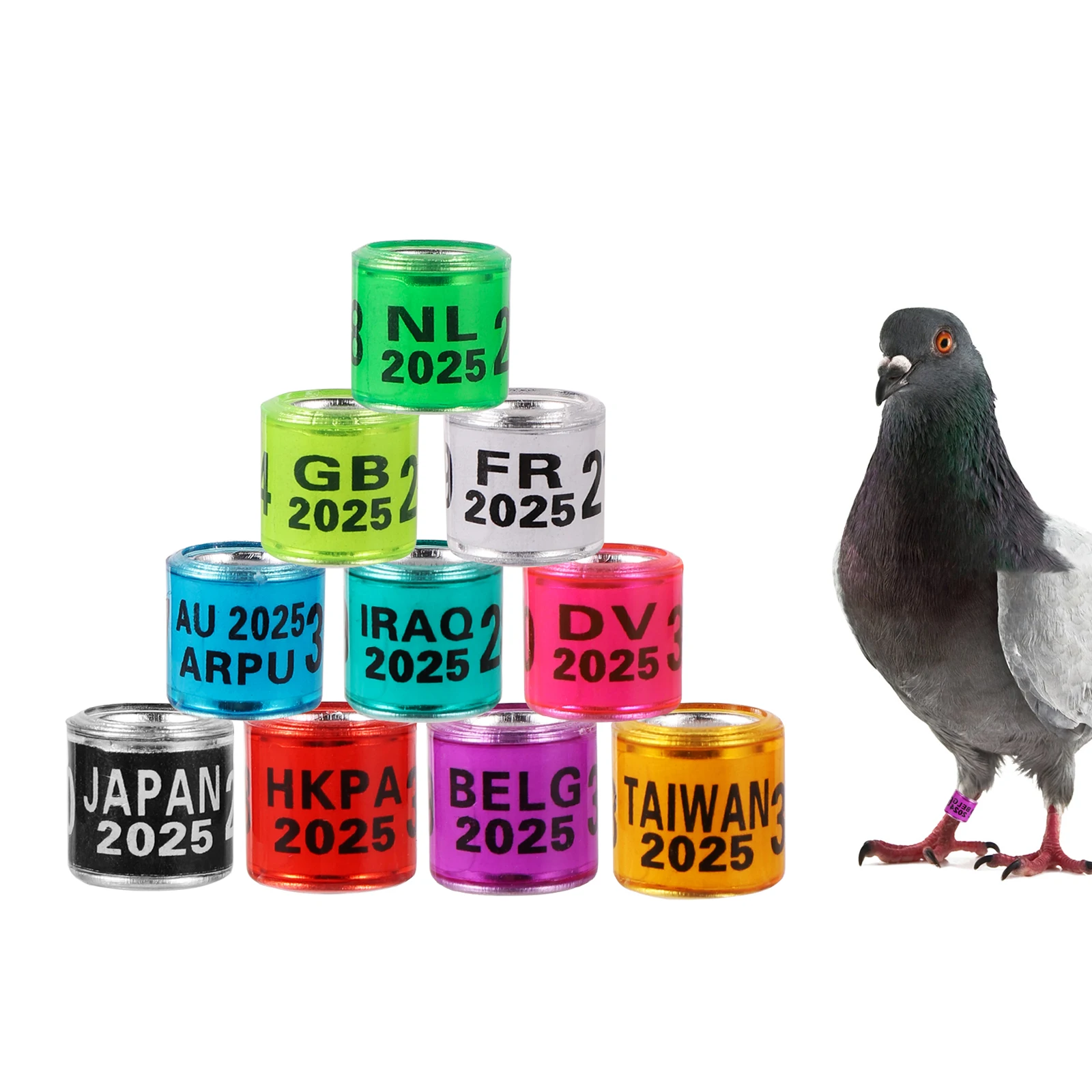 2025/2026 Multicolor Pigeon Foot Ring with Word Foot Ring High Quality Durable Bird Ring Bird Marking Ring Bird Supplies 50Pcs