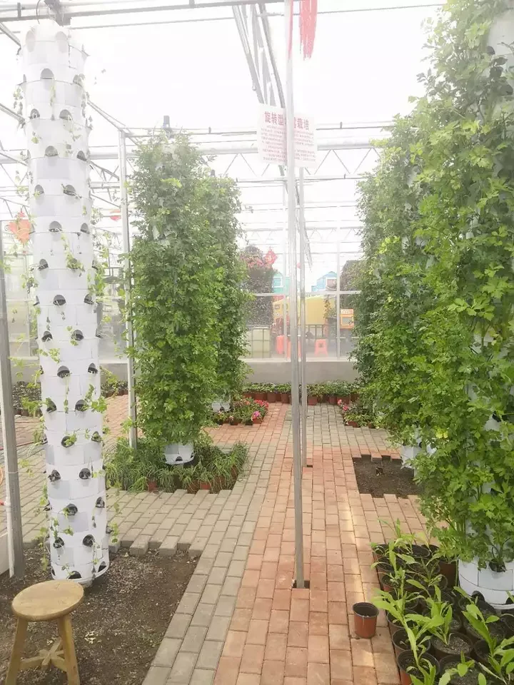 2025 استخدام زراعة البرج العمودي لمعدات الدفيئات الزراعية المائية