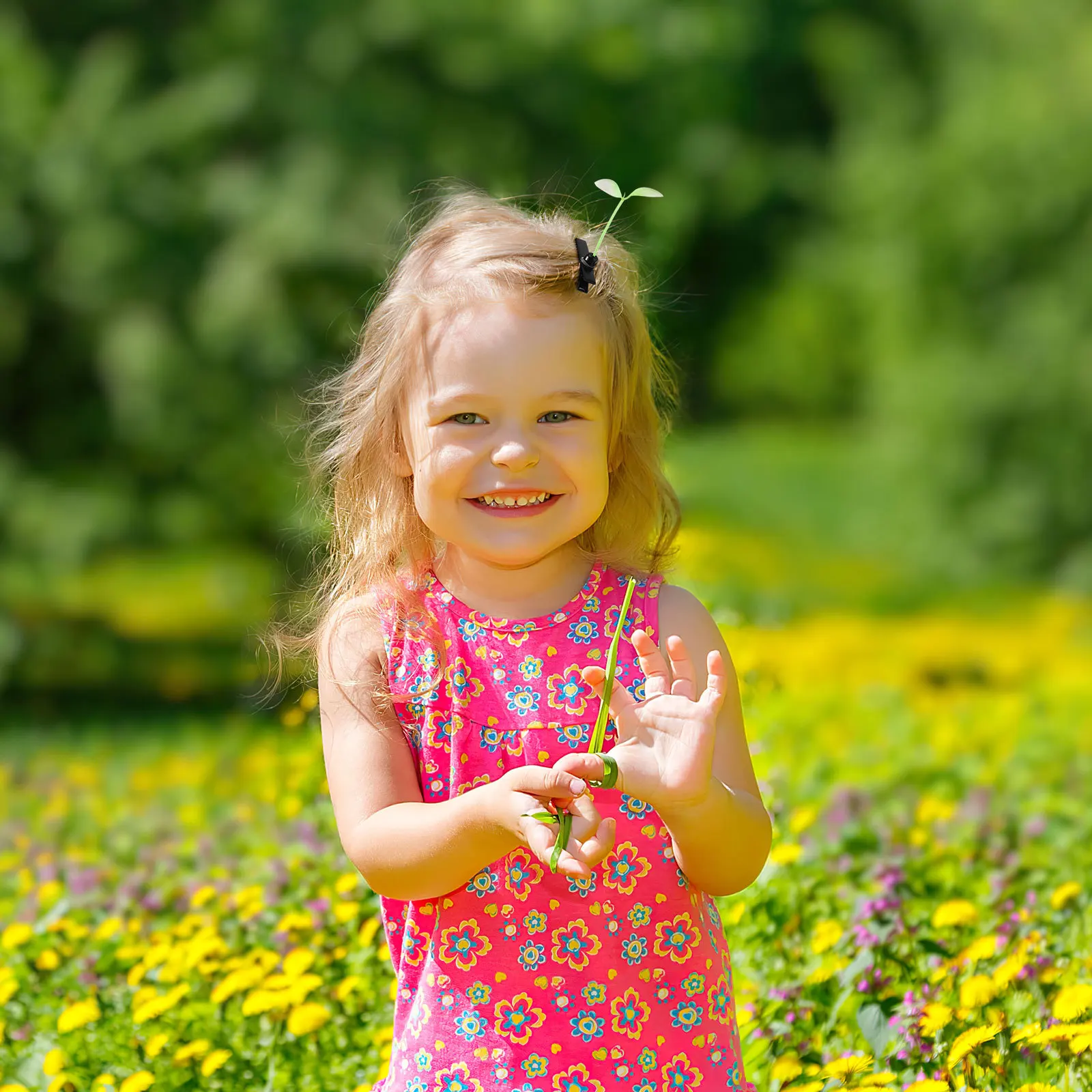 

10Pcs Sprout Hairpin Hair Clip Green for Women Party Home School Stylish Hairwear Sprout Hair Clip Quirky Head Clips