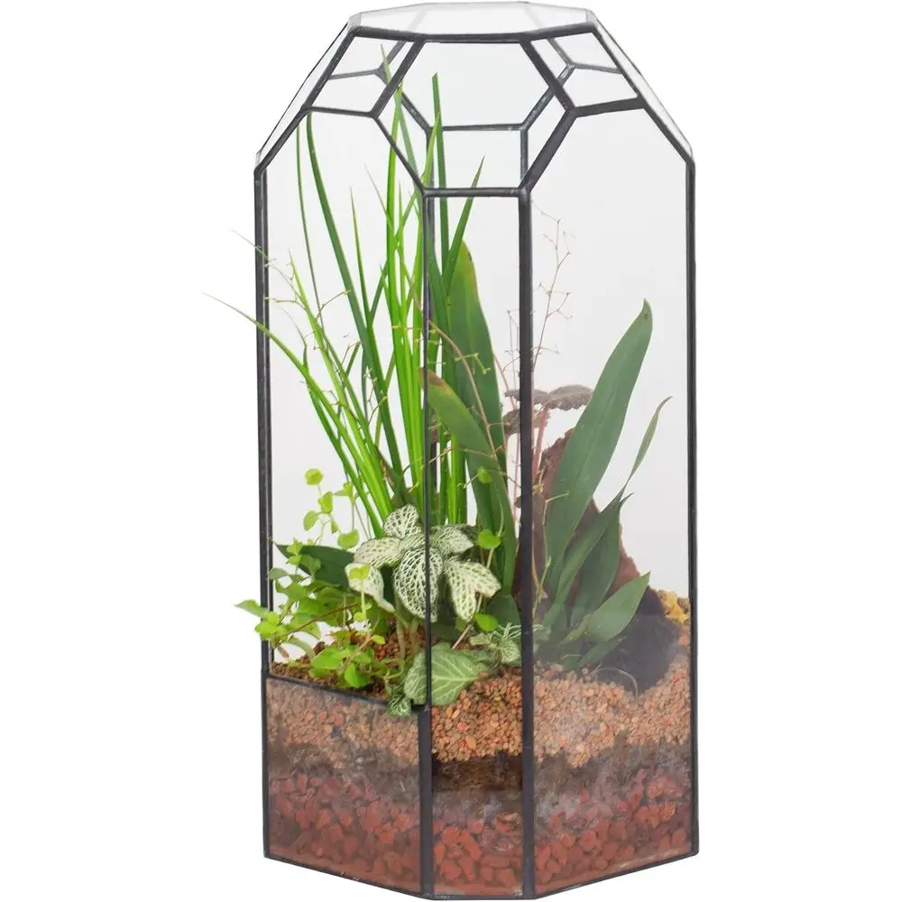 

Geometric Terrarium for Plant, Succulent, Cacti - 5.5x5.5x12.8 Indoor Tall Octagon Glass Planter, Home Garden Office Vintage Dec