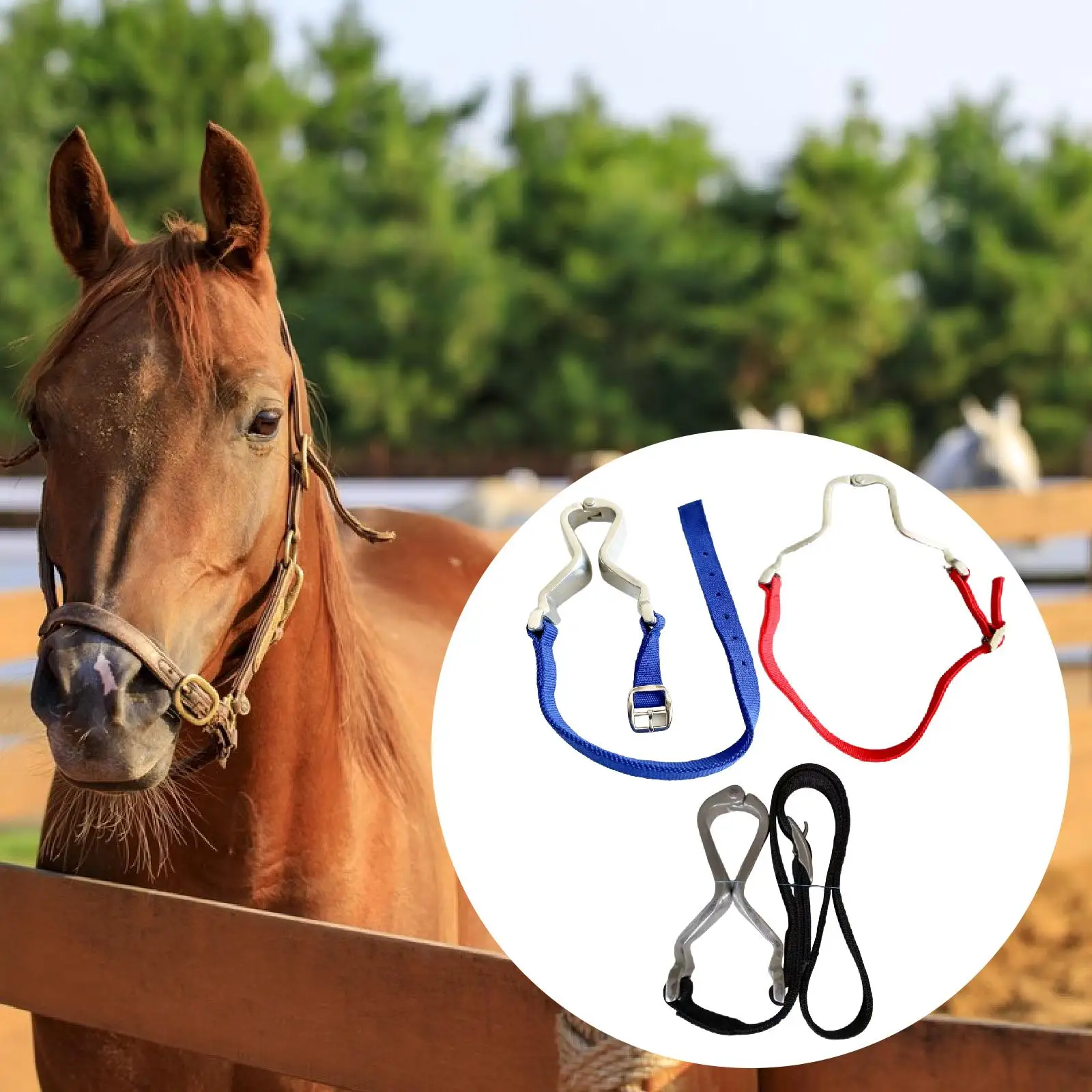 pinza-de-garganta-para-entrenamiento-de-caballos-accesorio-de-bienestar-equino-para-establos-y-equipos-de-equitacion