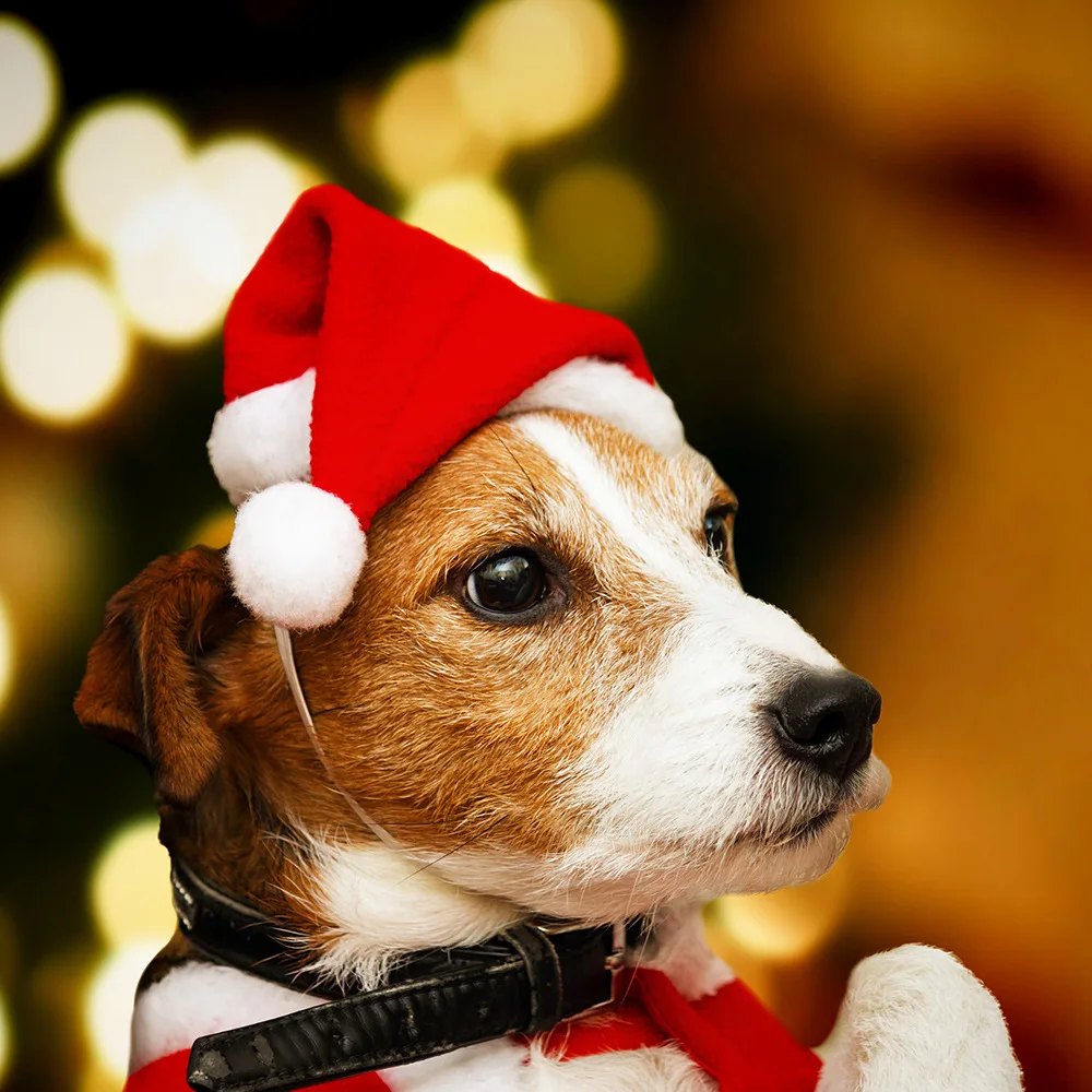 Haustier Weihnachtsmütze Weihnachtsdekoration Hund Katze Hut Rot Plüsch Hut Neujahr Urlaub Haustier Hut Haustier Party Styling und Dekoration