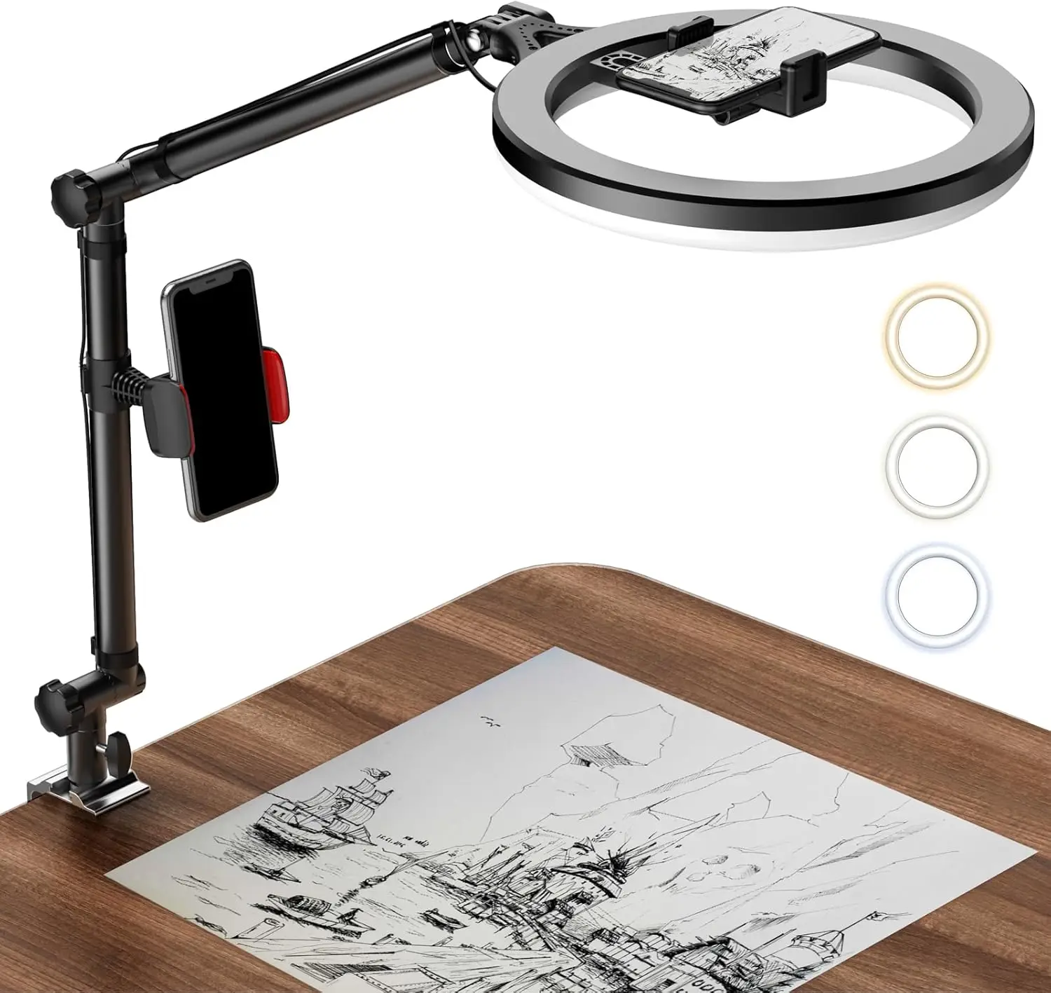 

Ring Light with Stand and Phone Holder, USB 10" Ring Light for Desk, Overhead Camera Mount with Ringlight, Desk Lamp wit