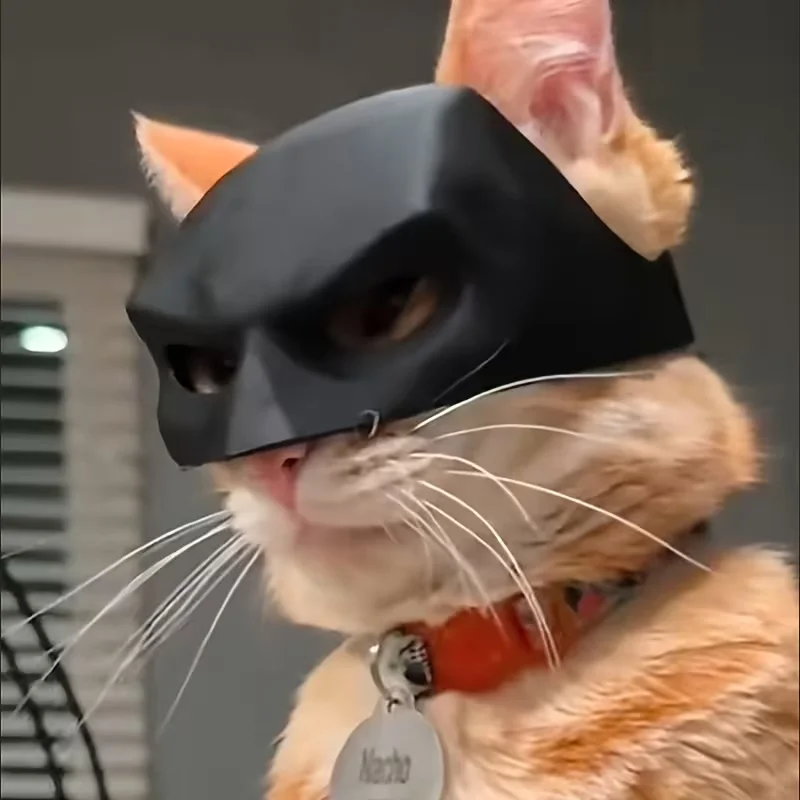 Schwarze Fledermaus/Weiße Katzen-Fotomaske für Streiche und lustige Halloween-Partys, Haustier-Zubehör – Detail 7