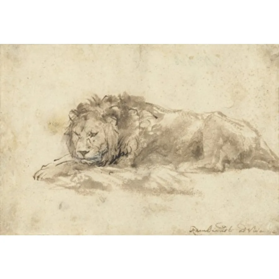

Лежащий лев, работа Рембранта ван Рейна, 1650-59 гг., голландская рисовка, чернильная роспись на бумаге. Рембрант изображает львов в своих работах.