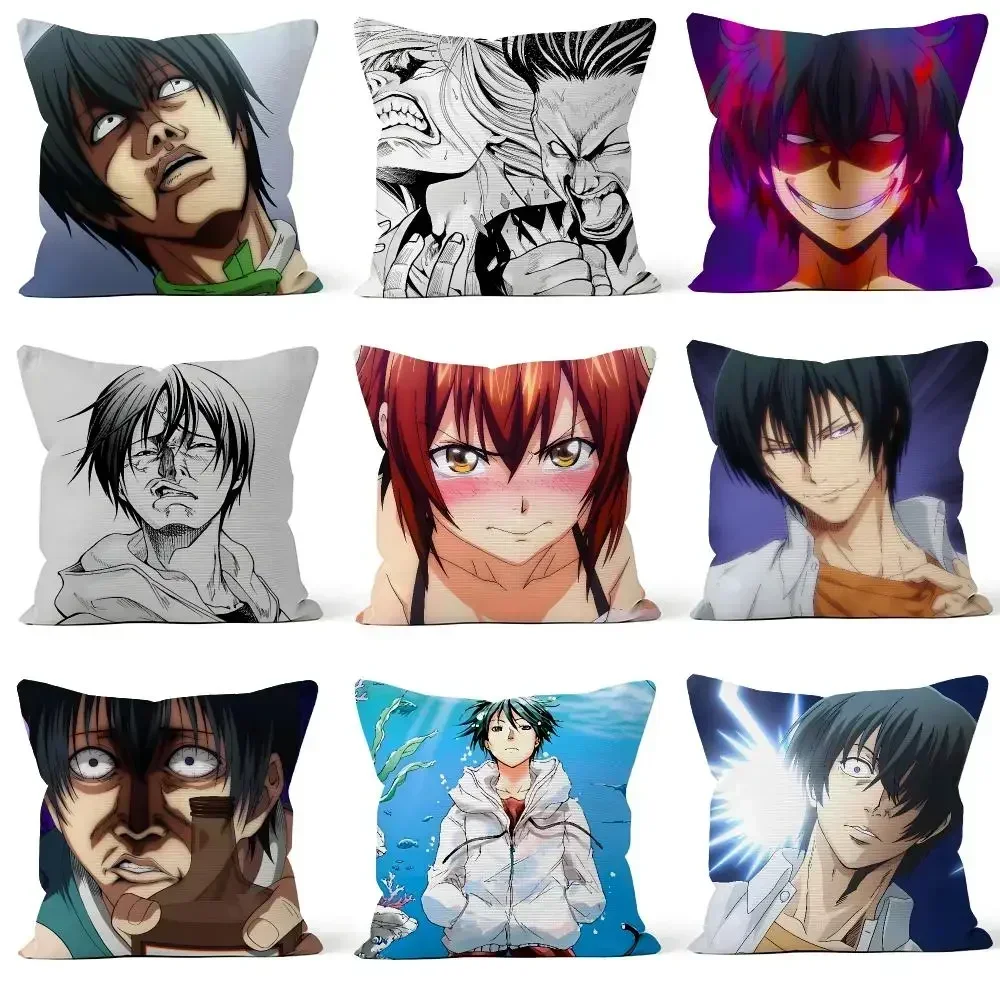 Anime Grand Blue Dreaming Iori Chisa Cushion Cover Throw Pillow Soft Short Plush Cozy Colorfast For Sofa Bedroom Home Decor