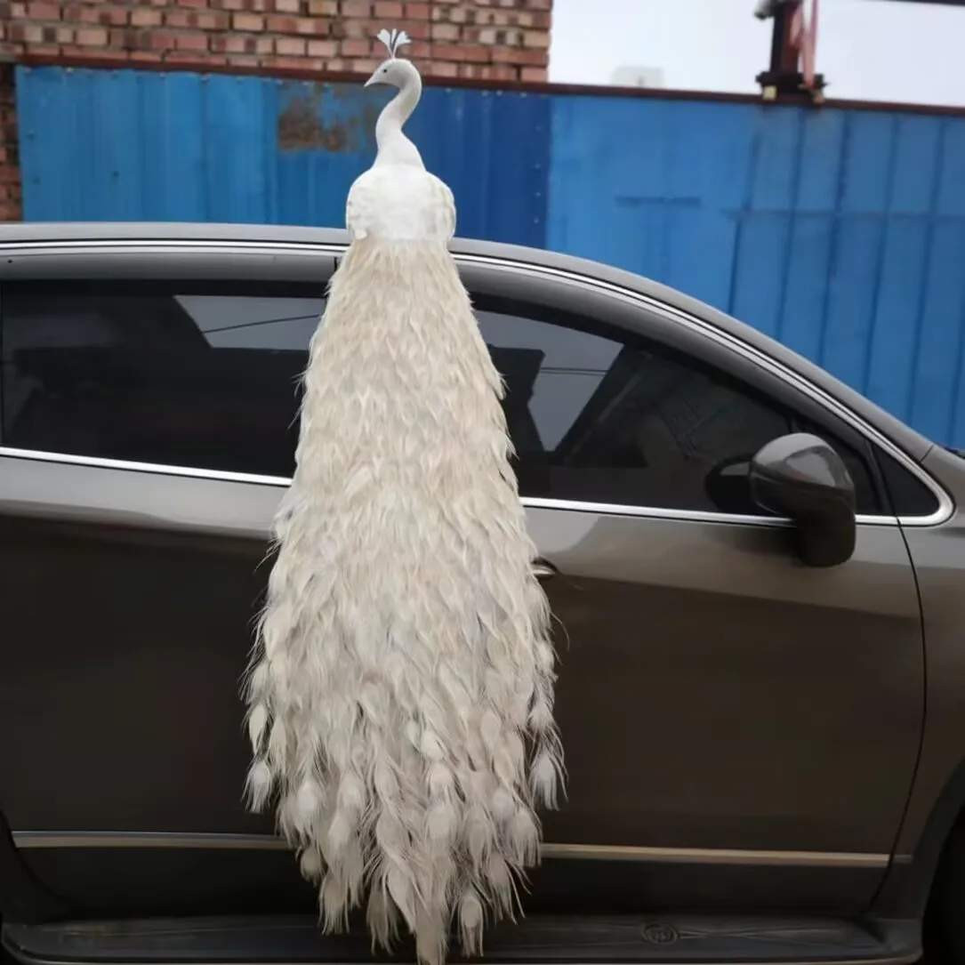 about 181cm Beautiful White Simulation Peacock Model Foam &Feather Peacock Gift Home Decor Artificial Bird