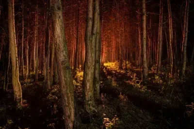 

Metal 2 Speed Shiftable Transmission Gearbox For Axial SCX10 & SCX10 II III 1/10 RC Crawler Car Upgrades Parts