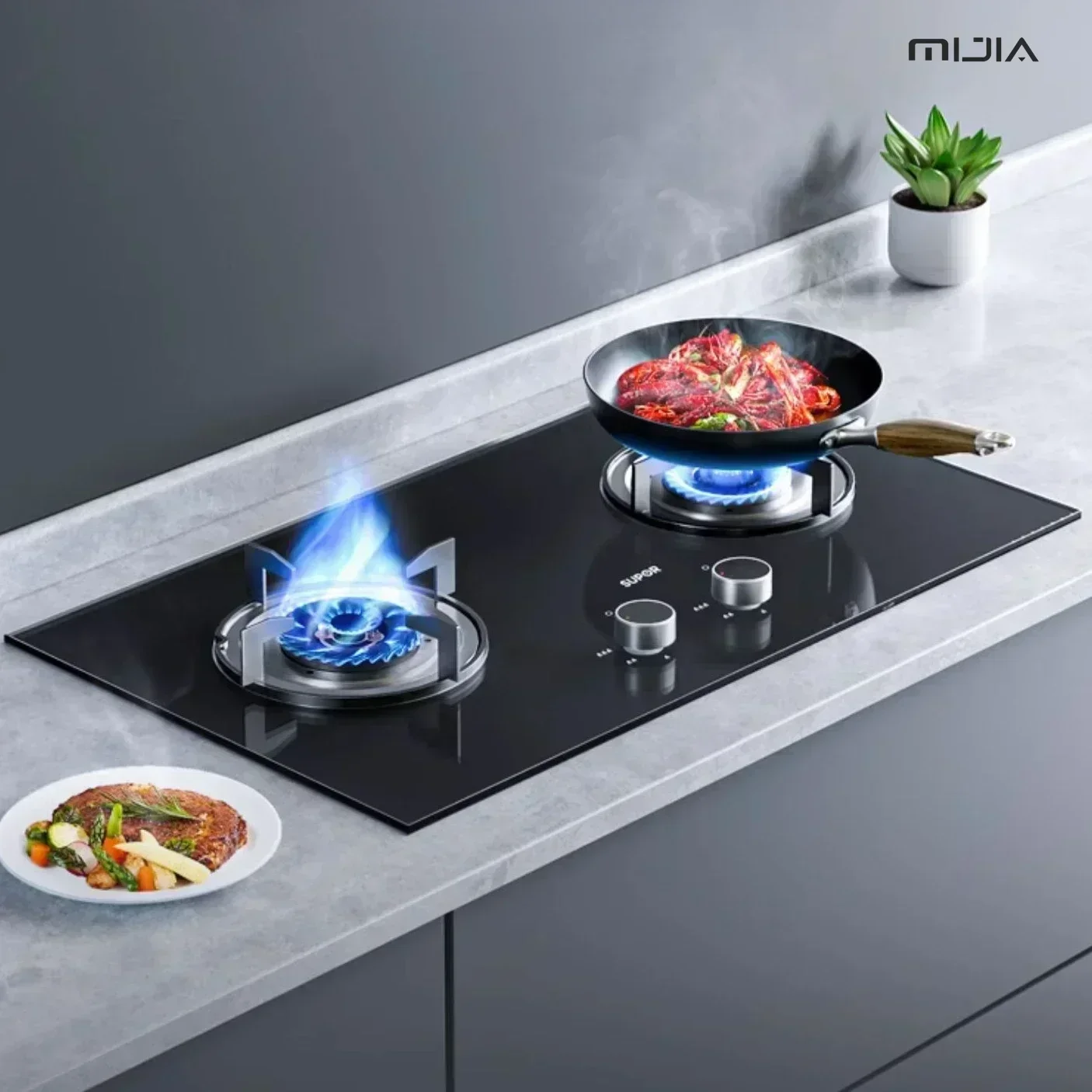 

Набор двойной газовой плиты — бытовой встроенный, жестокий огонь для природного газа и сжиженного газа