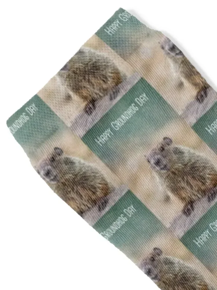 Happy Groundhog Day adorable little Groundhog with text Socks hip hop floor gift Boy Child Socks Women's