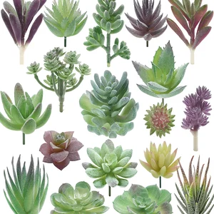 12 Main Sales Cactus - №10