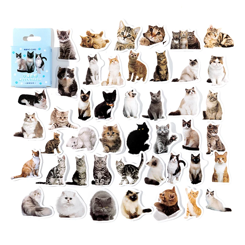 45 stuks schattige kattenstickers, mini-stickerdoos voor dagboeken, scrapbooks, schrijfwaren, doe-het-zelf materiaal, decoratieve stickers