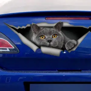 British Shorthair decal, gray cat car decal, funny sticker, cat car sticker