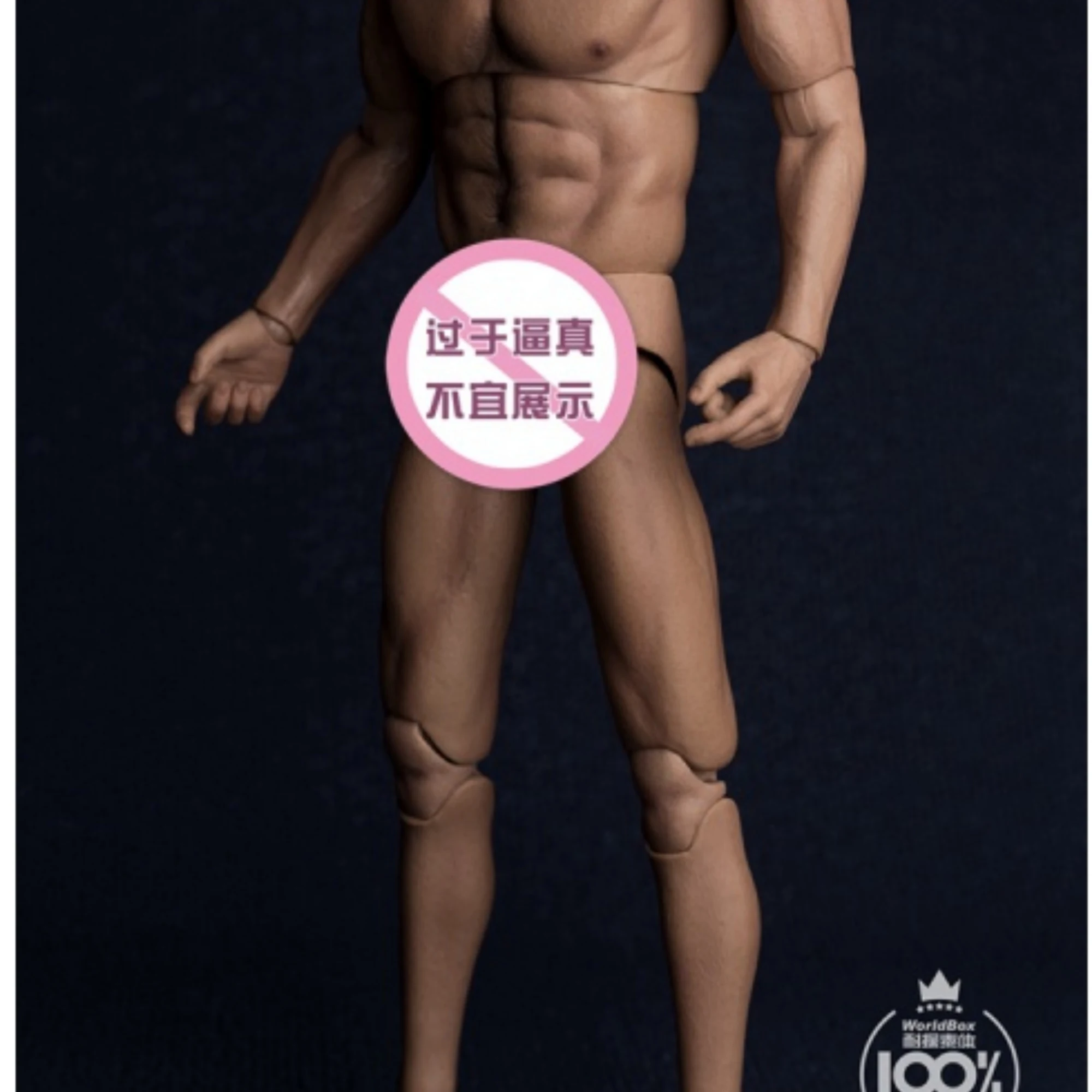 WorldBox 1/6 AT017 جسم عسكري عسكري بكتف عريض #3