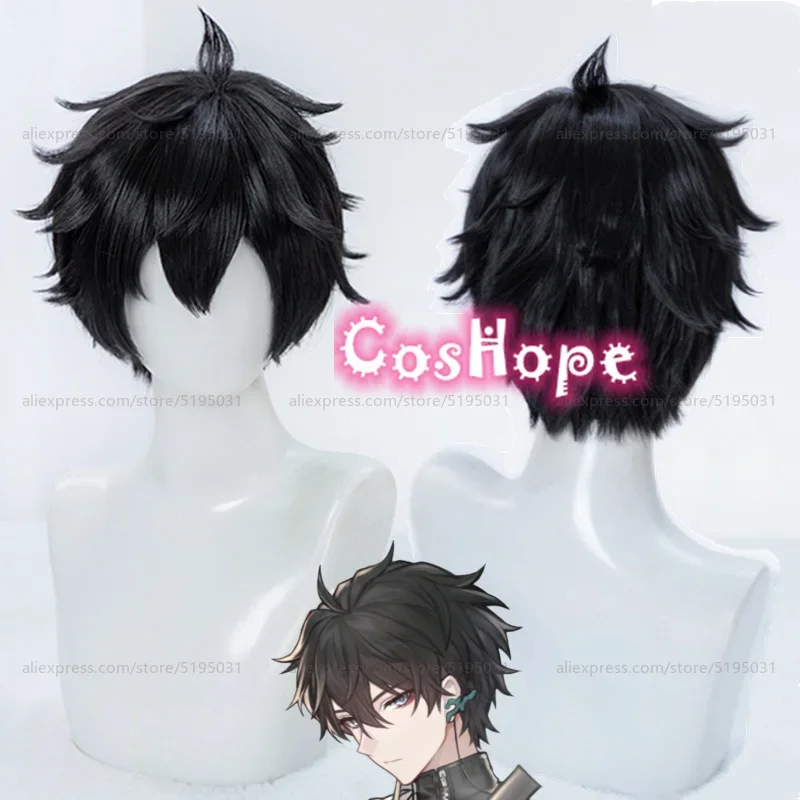 Dan Heng cosplay wig 30cm short wig black wig cosplay anime wigs wigs heat resistant synthetic wigs