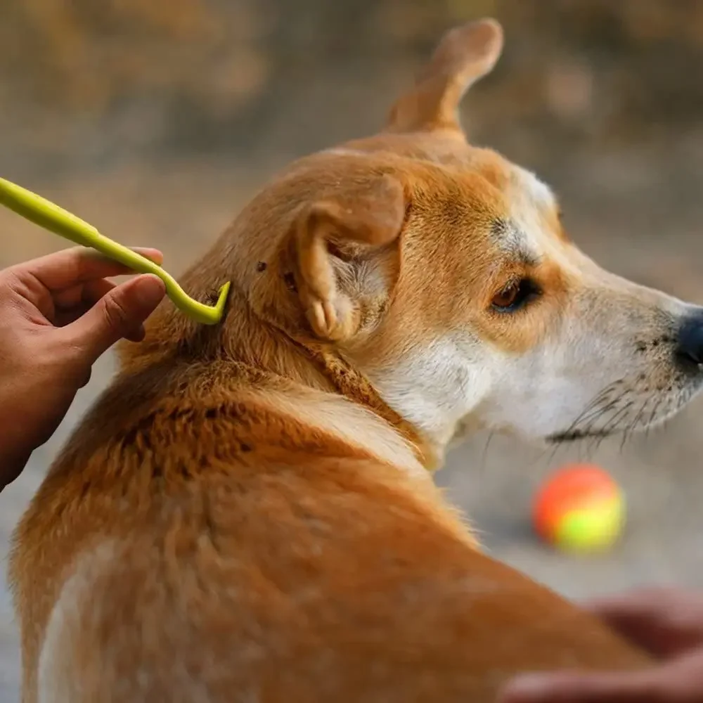 3er-Pack Flohentferner-Haken, Zeckenentferner-Pinzette, Zeckenklemme für Haustiere, Katzen und Hunde, Milben- und Flohextraktor, Hundezubehör – Detail 4