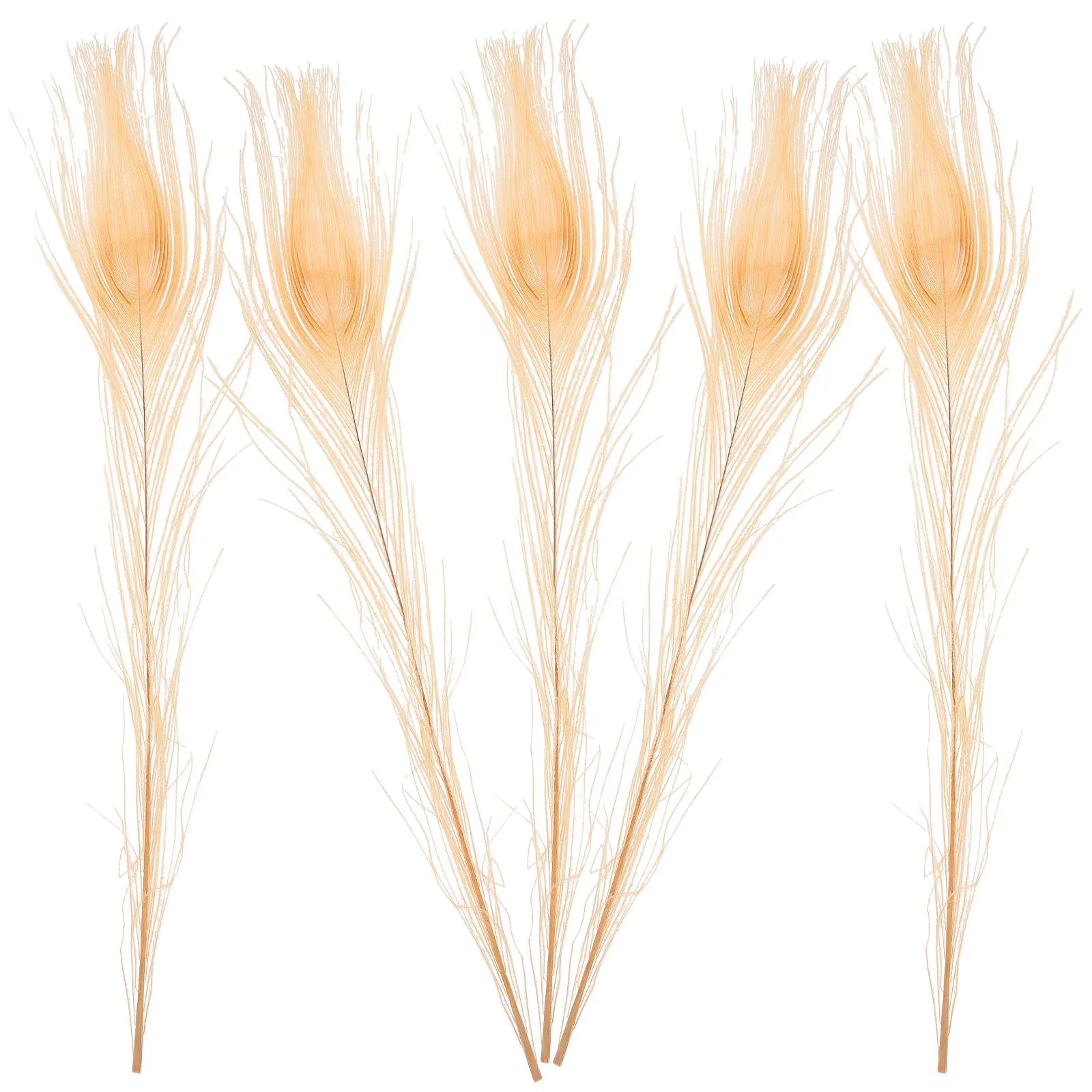 

5Pcs Craft Plumes Natural for DIY Home Decor Wedding Party Centerpieces Vase Decoration Floral Arrangement