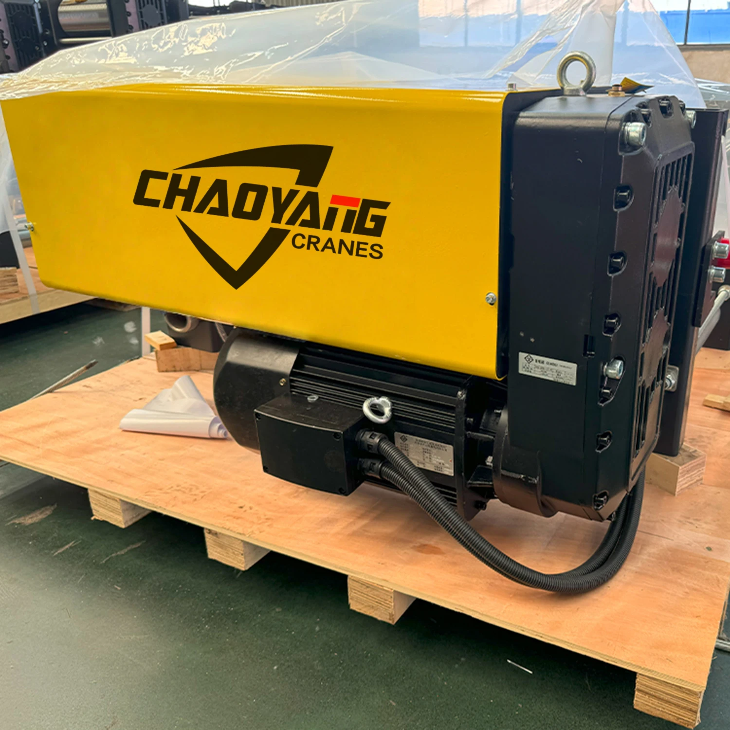 European Model Workshop Electric Wire Rope Hoist with Low Headroom Featuring Wire Rope Sling Type