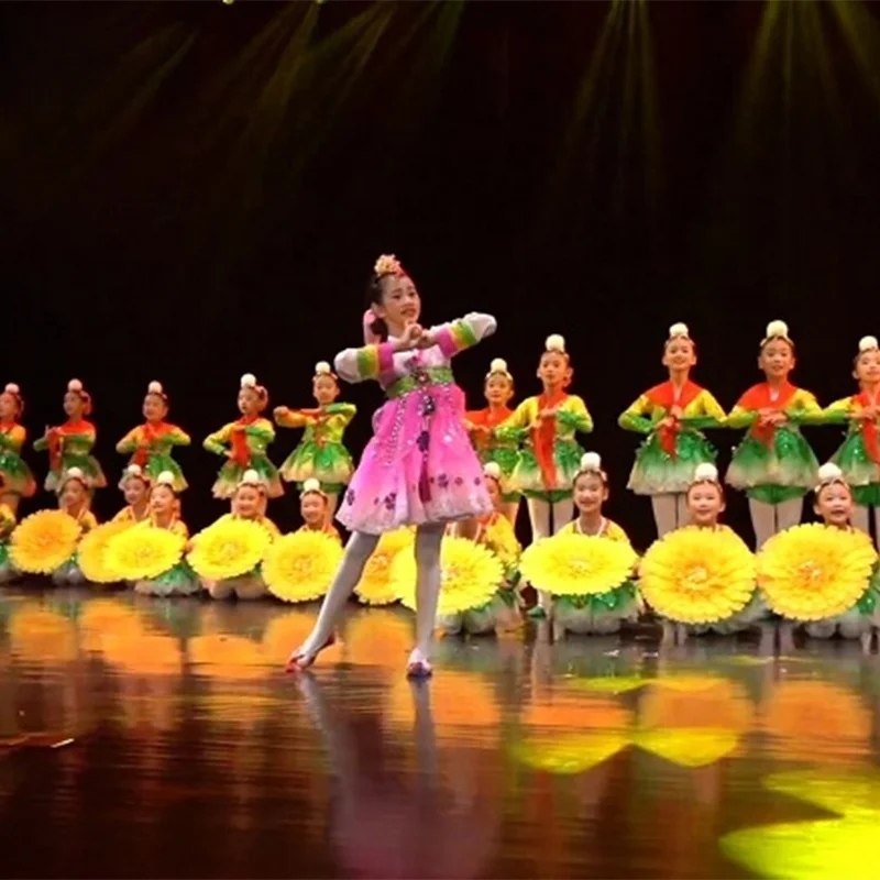 

Детская сценическая одежда для девочек: пышная юбка-принцесса «Двенадцатый маленький лотос» для выступлений на солнечном свете