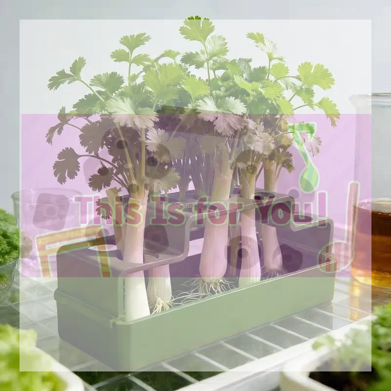 【MA】A Hydroponic System Specifically Designed For Scallion Cultivation, Enabling Repeated Growth.