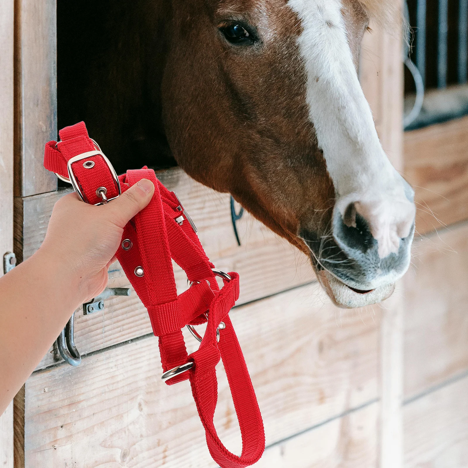 

Child Horse Training Kit Soft Webbing Halter and Rope Set Nylon Breakaway for Equestrian Practice Safety and Comfort