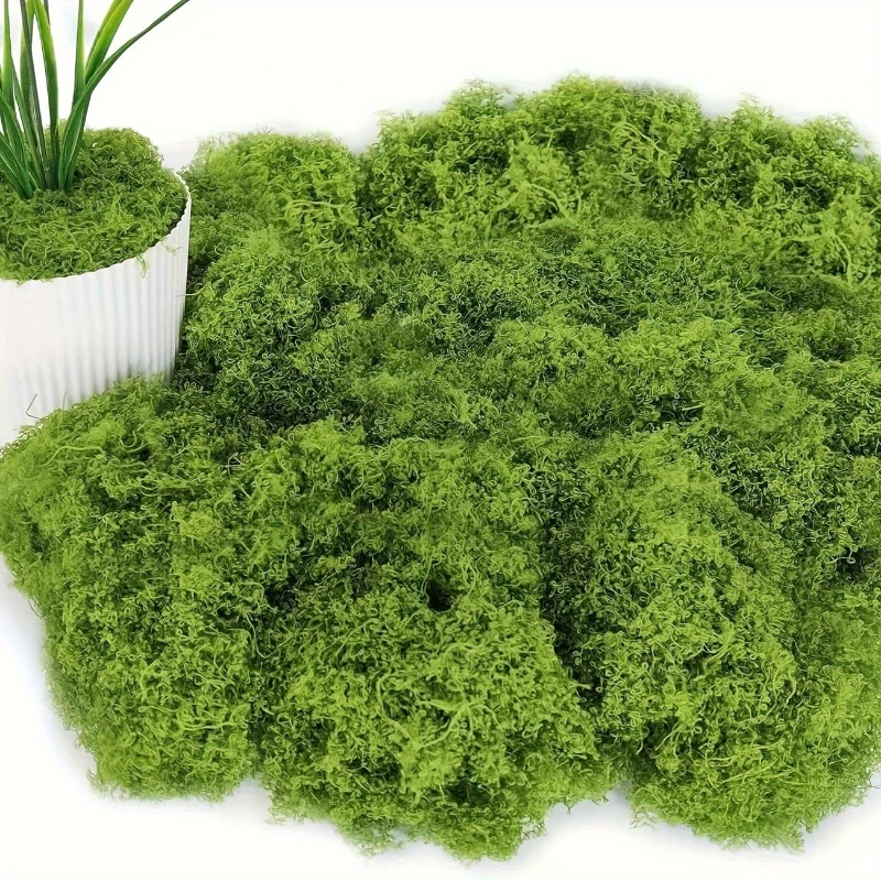 40g Ewiges Leben Moos DIY Bastelbedarf Künstliche Grünpflanzen Heim Zimmer Garten Deko Mini-Landschaft Kunstgras Bonsai