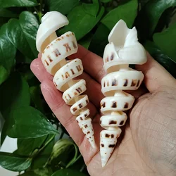 15cm Big Terebra Shell Genuine Bamboo Ladder-shaped Seashells Ocean Conch Décor Home Wedding Furnishing Pieces Gifts DIY