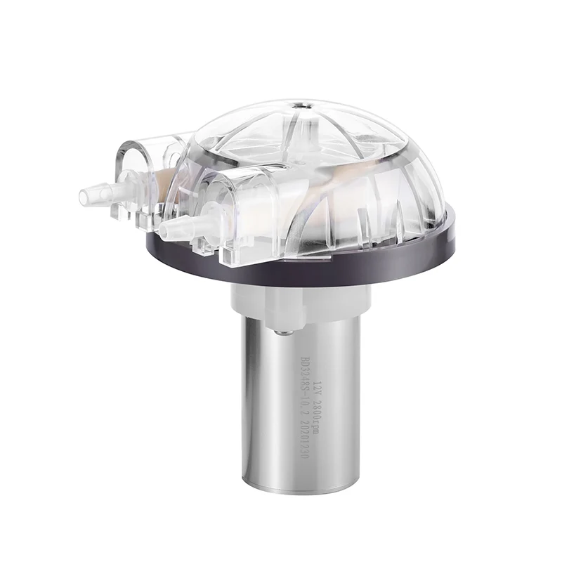 PENGPU 500mLPM 12 فولت 24 فولت مضخة تمعجية صغيرة صغيرة صغيرة أنبوب BPT لمضخات جرعات المياه السائلة من الدرجة الغذائية