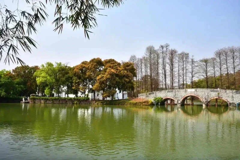 

For Tesla Model 3 Paint Touch Up Pen Kit Car Paint Scratch Repair Car Scratch Remover Paint Repair Set Auto Accessories