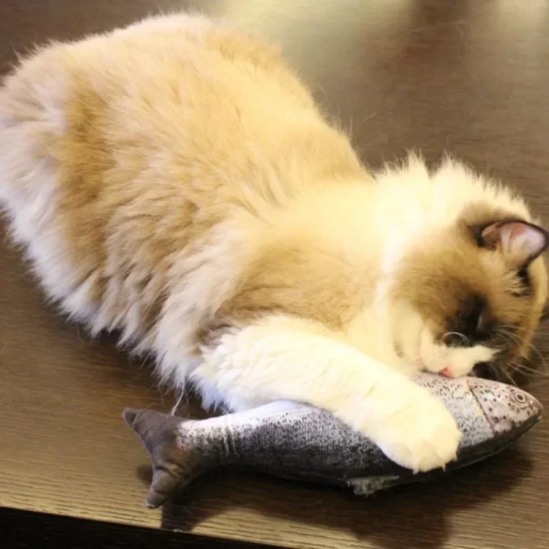Simulation Fish Cat Toys with Catnip Fish Shape Durable Cat Chew Toys Kitten Interactive Chase Toys Gifts Pet Supplies gatos