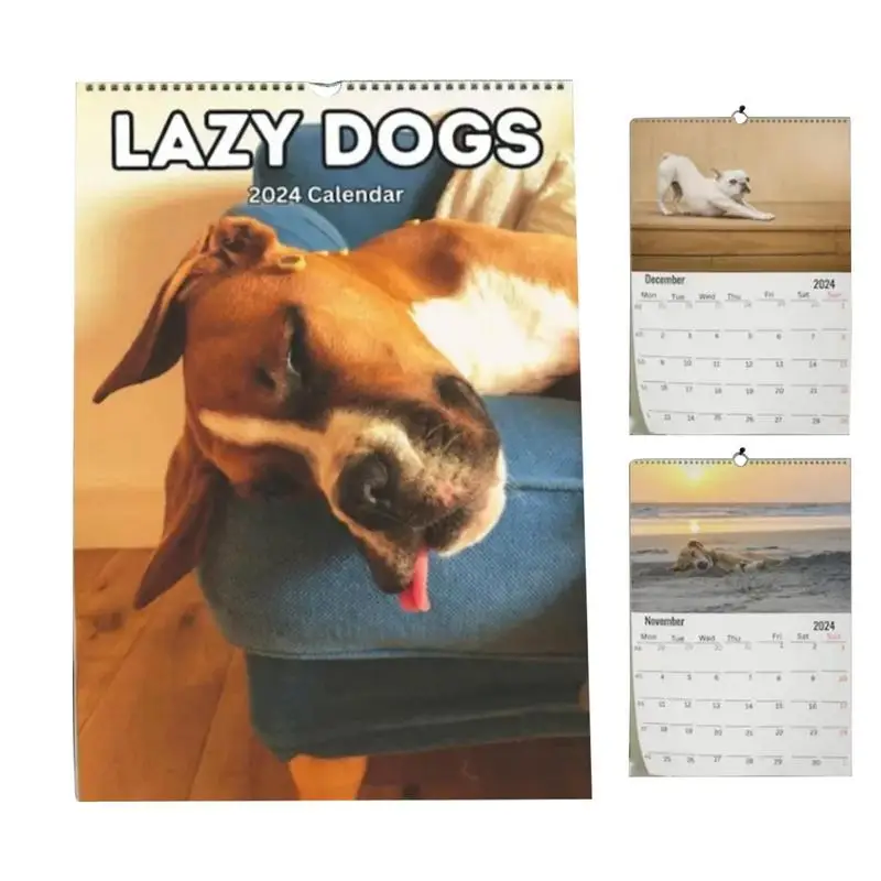 Funny Calendars Dogs Wall Calendar 2024 January 2024 From December Funny Wall Art Gag Humor Gift Prank Calendar 12 Monthly Lazy