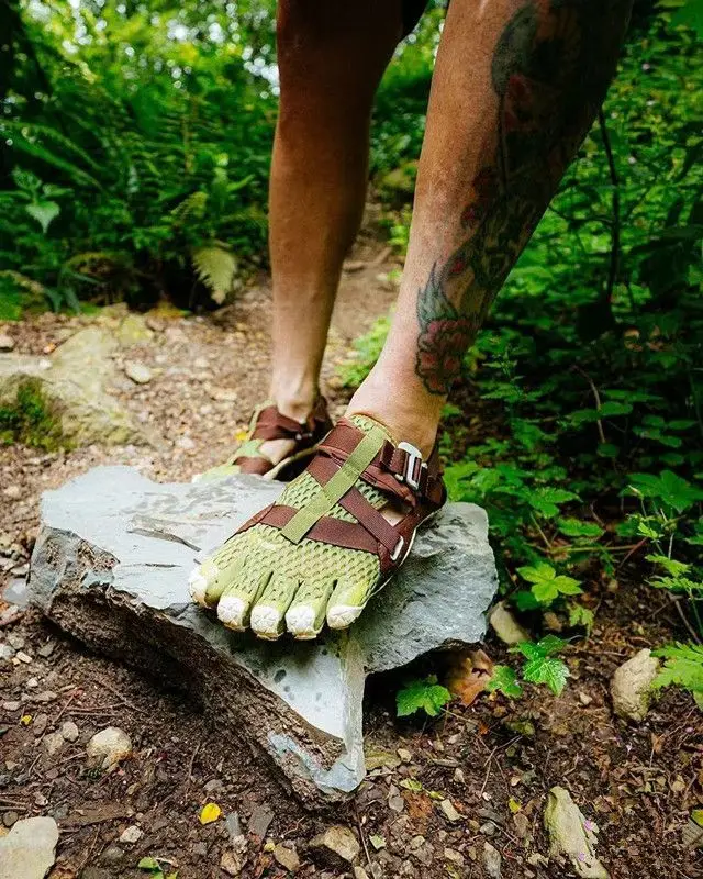 Рисунок 4 - Новинка 2025 года