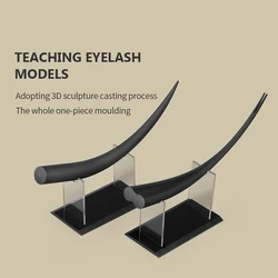 Large Eyelash Display Model Teaching Eyelash Extension Training Demonstration Tool False Lashes Tool Accessories