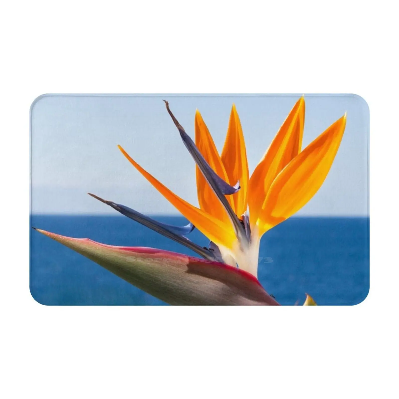 Gift Idea Flower Strelitzia Photo Soft Cushion Car Home Carpet Door Mat Flower Strelitzie Ideas Christmas Birthday Enjoyment Of