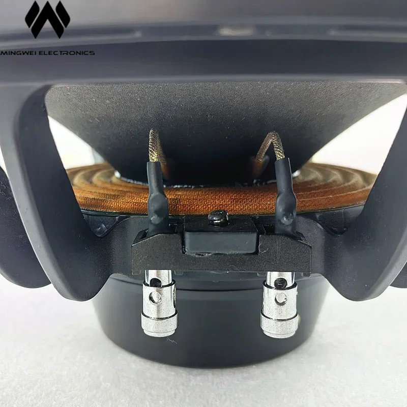 10 Inch Neodymium S…