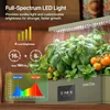 Compact Hydroponics Growing System Premium Kitchen Countertop Kit — Dimmable 24W Grow Light Plus Timer